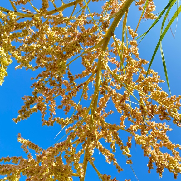 Meet your Posher - Picture 1 of 1